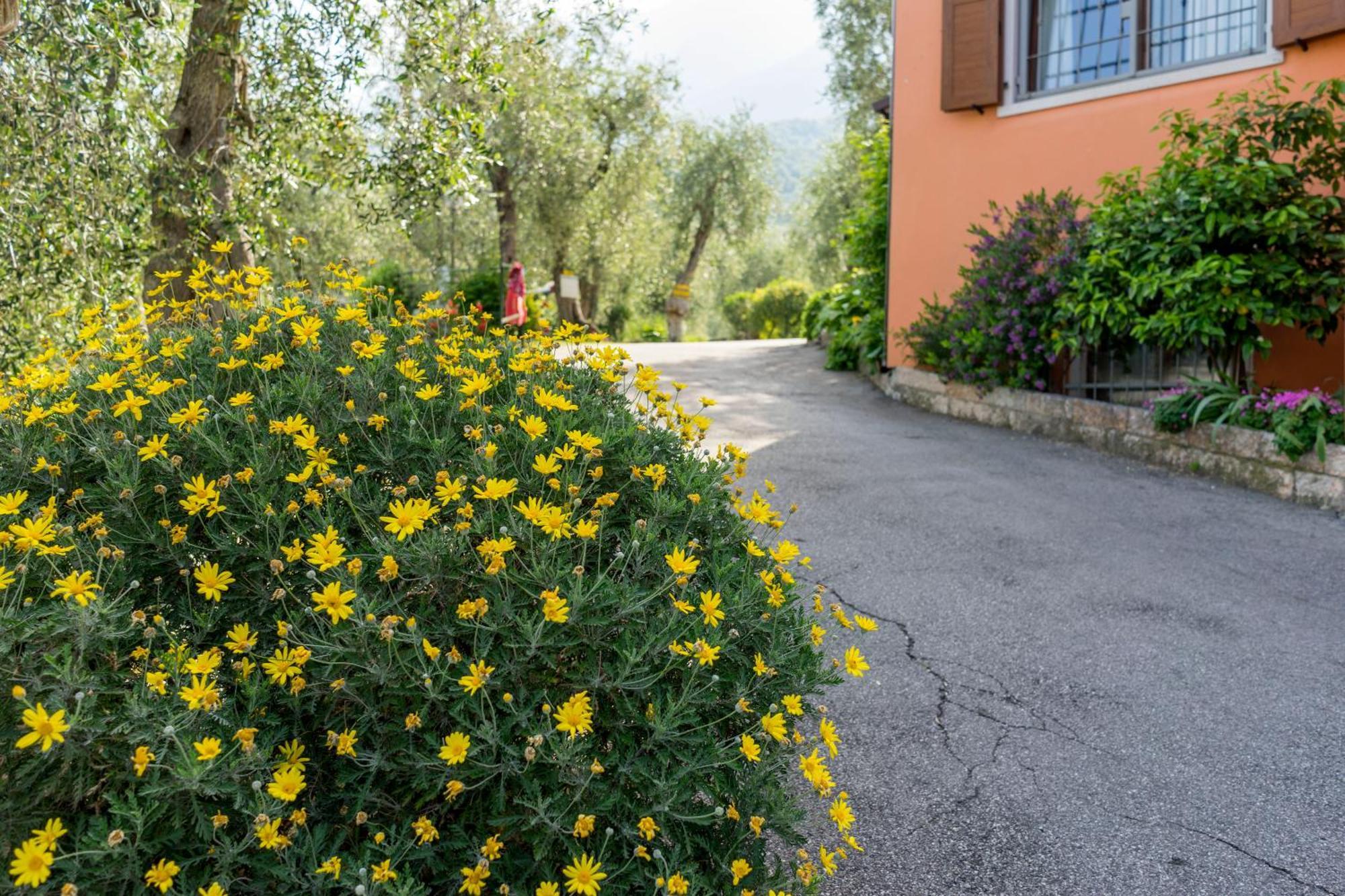 Monja Camping Village Brenzone sul Garda Exterior foto